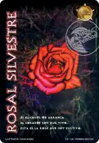 Rosal Silvestre